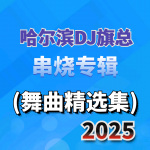 哈尔滨DJ旗总原创《2025串烧精选集》