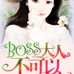 限时婚宠：BOSS大人，不可以