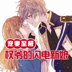 寵妻至極：權(quán)爺?shù)拈W電新娘