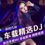 车载精选DJ｜推荐