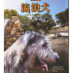 【传世今典】流浪犬丨动物冒险小说