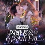 领证两年，闪婚老公竟是冰山上司|先婚后爱|闪婚甜宠