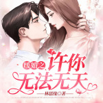 暖婚之许你无法无天