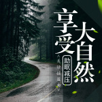 深度沉浸体验|享受大自然|疗愈音乐|哄睡助眠