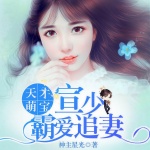 天才萌宝：宣少霸爱追妻