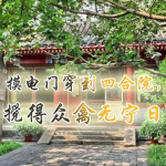 摸电门穿到四合院，搅得众禽无宁日【种田|系统|穿越|年代】