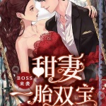 BOSS来袭：甜妻一胎双宝