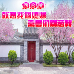 四合院：就想找个媳妇，禽兽们别惹我