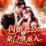 闪婚老公是豪门继承人