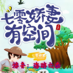 七零娇妻有空间|年代文系列
