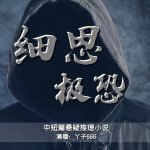 细思极恐（中短篇恐怖悬疑故事推理小说）