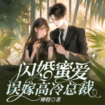 闪婚蜜爱：误嫁高冷总裁|宠文|追妻|多播精品剧