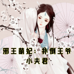 邪王萌妃：扑倒王爷小夫君