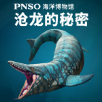 PNSO海洋博物馆:沧龙的秘密