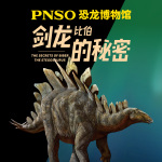 PNSO恐龙博物馆：剑龙比伯的秘密