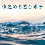 海边的自然白噪音: 海鸥的声音, 日落海滩的浪声