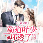 一夜成瘾：霸道叶少坏透了