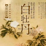 白牡丹（邵荣军）