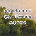 沉浸白噪音纯音乐，感受大自然助眠的全景音韵味