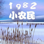 1982小农民