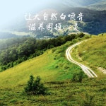 让大自然白噪音，滋养困顿心灵