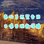 奏响自然梵音，用白噪音驱散浮躁