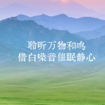 聆听万物和鸣，借白噪音催眠静心