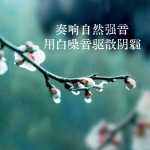 奏响自然强音，用白噪音驱散阴霾