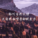 聆听自然低语：大自然白噪音助眠良方