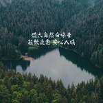 借大自然白噪音，驱散疲惫，安心入眠