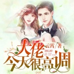 大佬今天很高調(diào)（爆笑總裁甜寵）