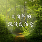走近大自然深处聆听美妙的叫声