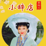 黄梅戏电视剧《小辞店》韩再芬｜韩军