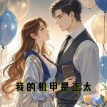 我的机甲是正太
