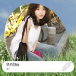 梦的怒放