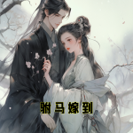 驸马嫁到