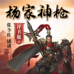 张少佐评书：杨家神枪（123讲）