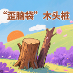 “歪脑袋”木头桩