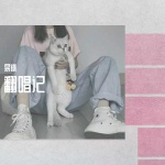 丢了你