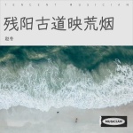 风铃摇荡草堂梦