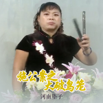 河南坠子《施公案之大破乌笼》江淑芳主演