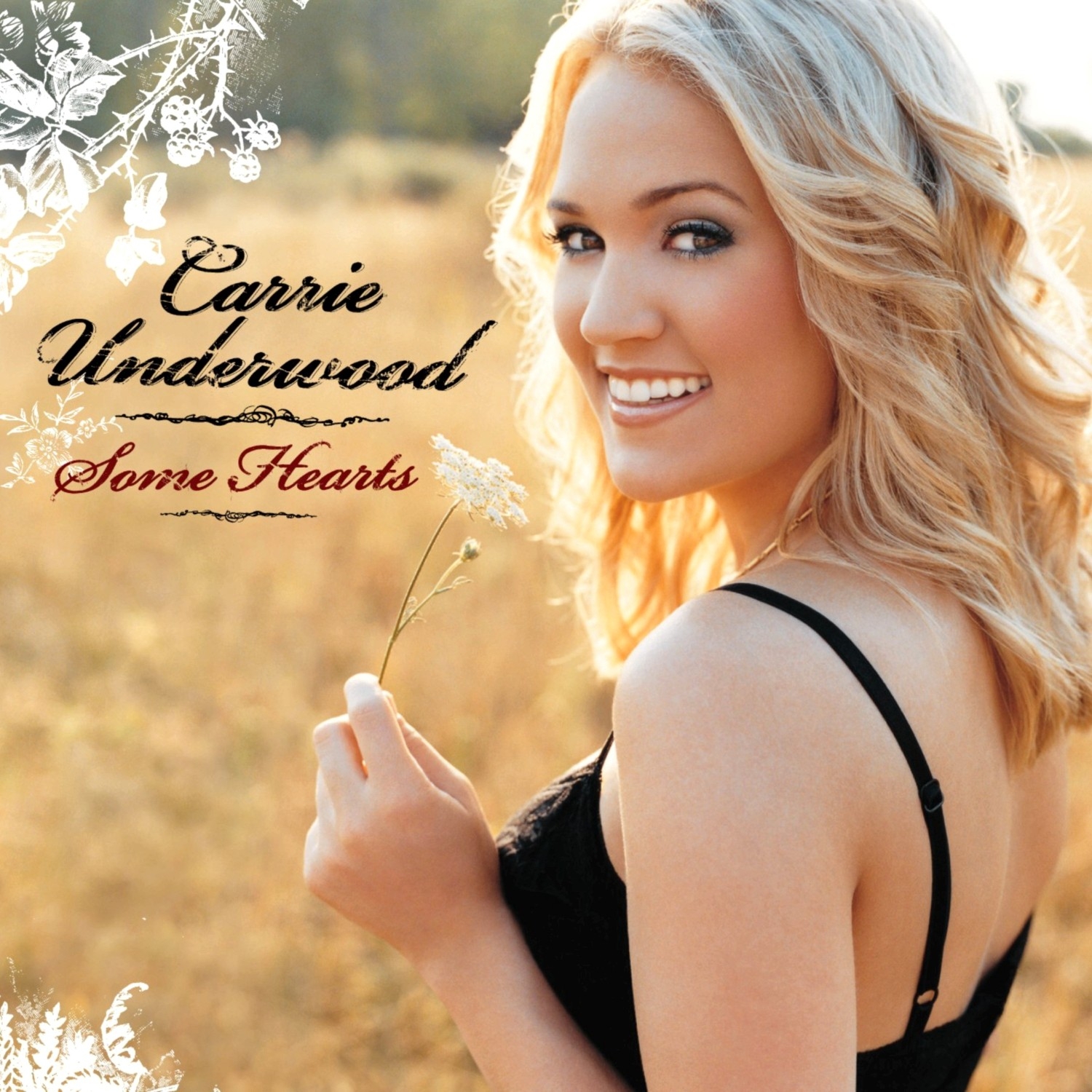 专辑:some hearts 歌手:carrie underwood
