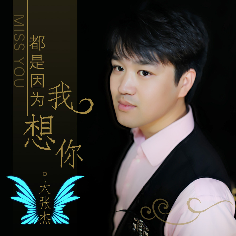 歌曲想你了(歌曲想你了原唱视频)