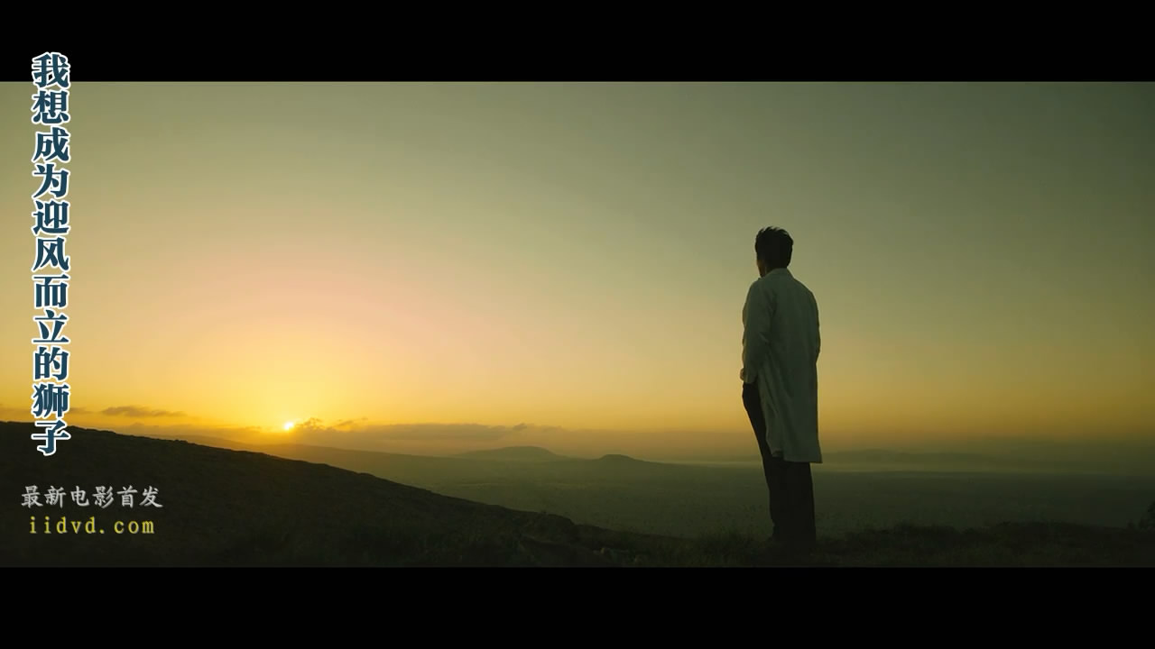 迎风而立的狮子20160921恰是你的温柔