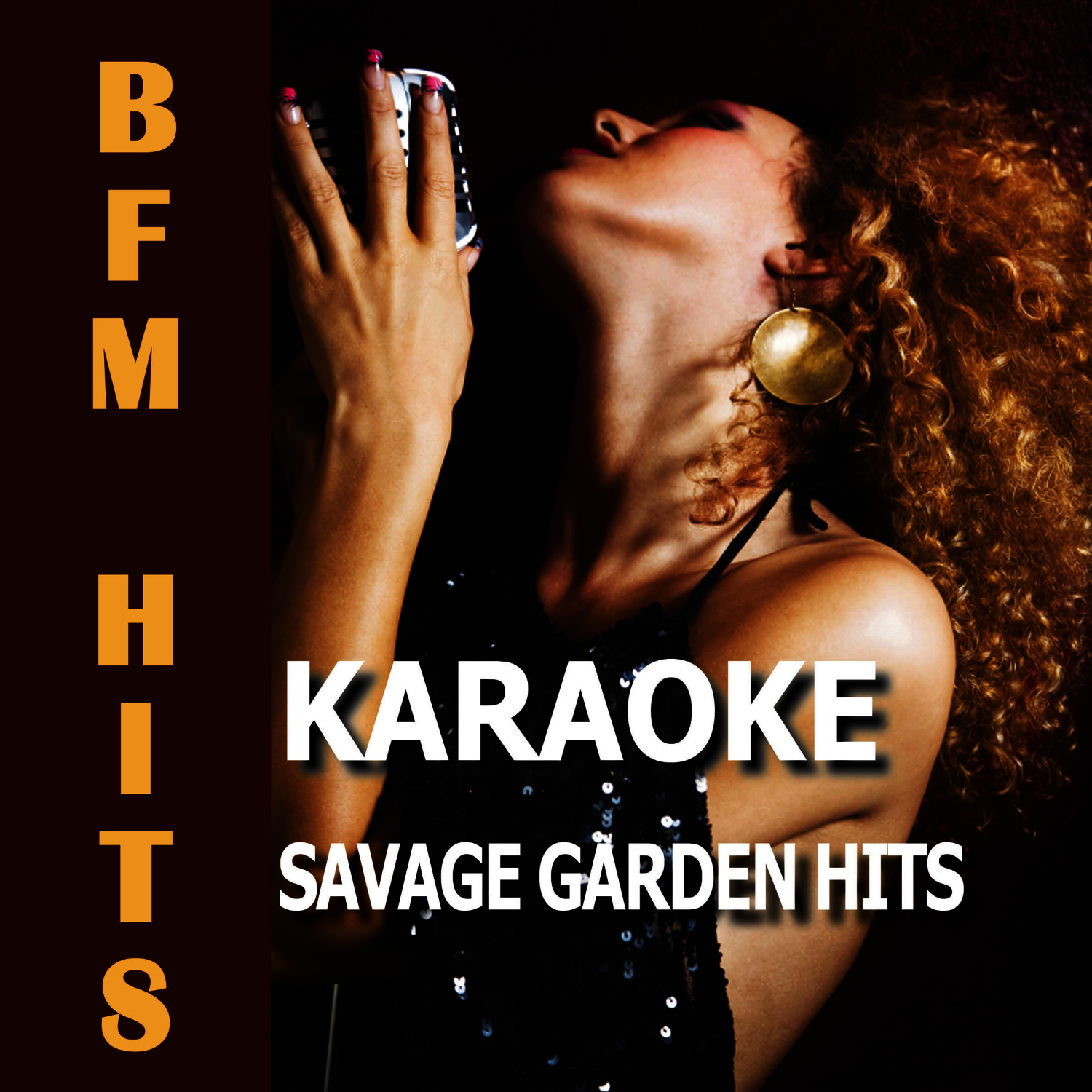 外部播放此歌曲>bfm hits - the animal song (karaoke version)mega