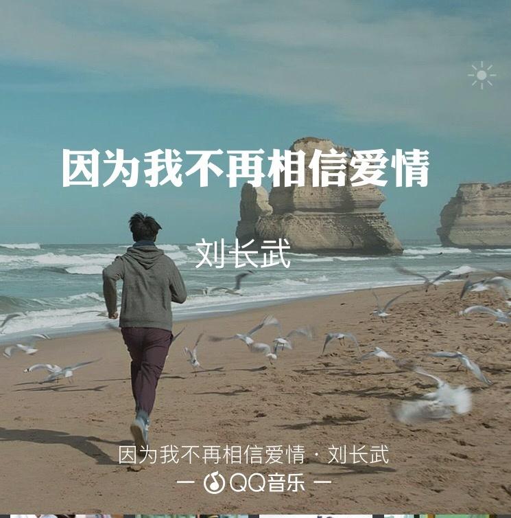 因为我不再相信爱情