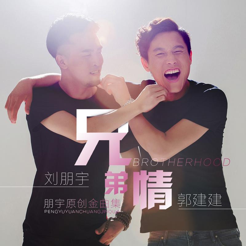 兄弟情歌曲(兄弟情歌曲原唱)