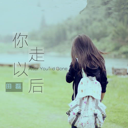 田磊你走以后