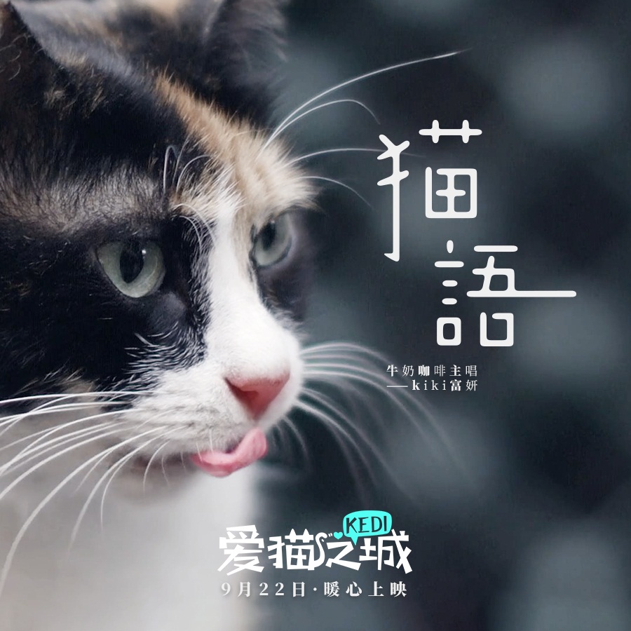 猫语(伴奏)_仙羽_高音质在线试听_猫语 (伴奏)歌词|歌曲下载_酷狗音乐