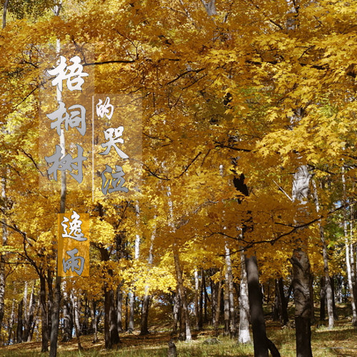 梧桐树的哭泣_逸雨_高音质在线试听_梧桐树的哭泣歌词|歌曲下载_酷狗